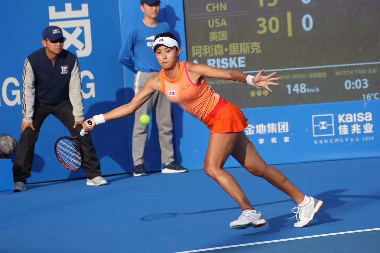 因为它不仅 因为它不仅