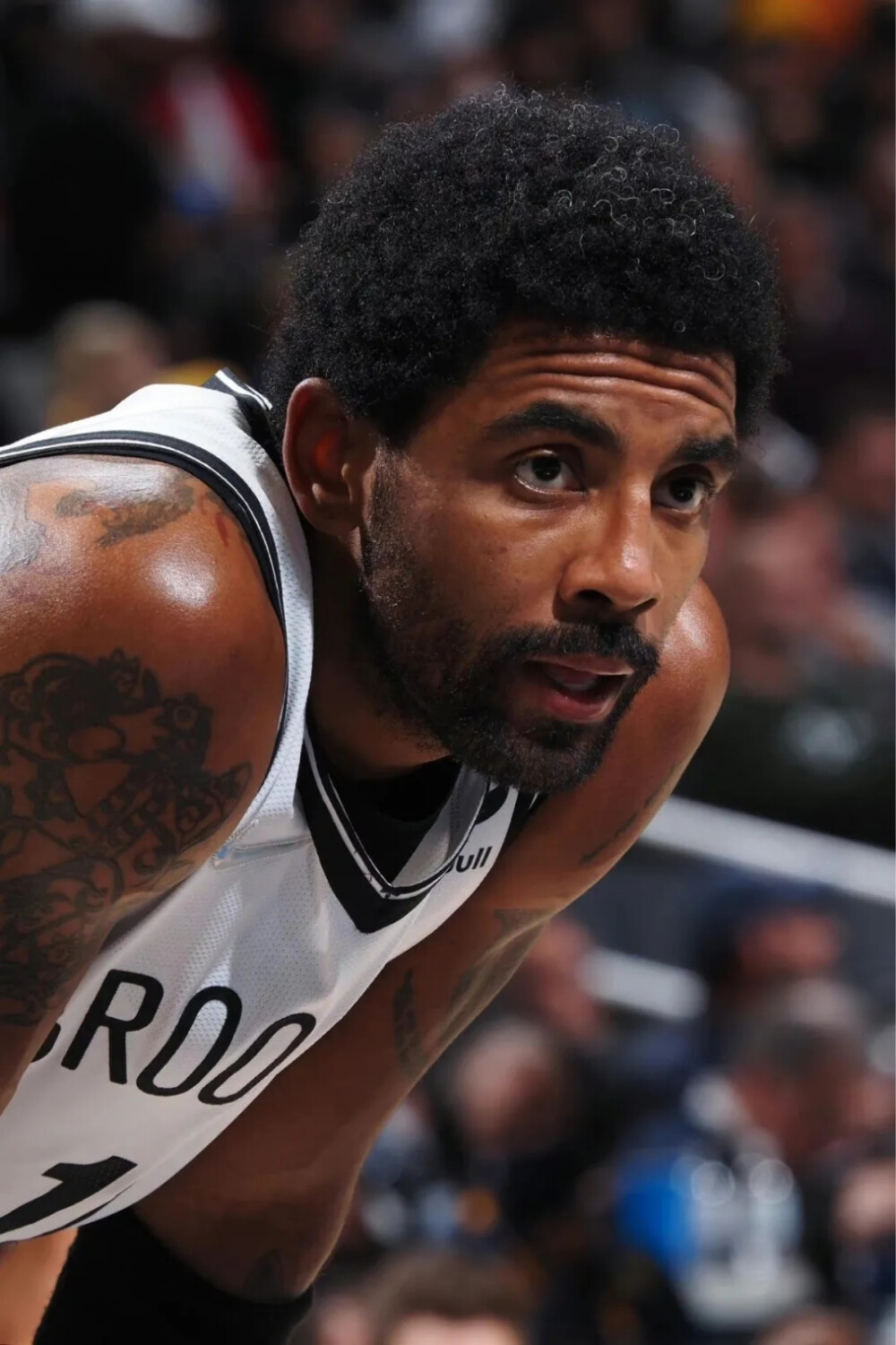 应和全局观 应和全局观