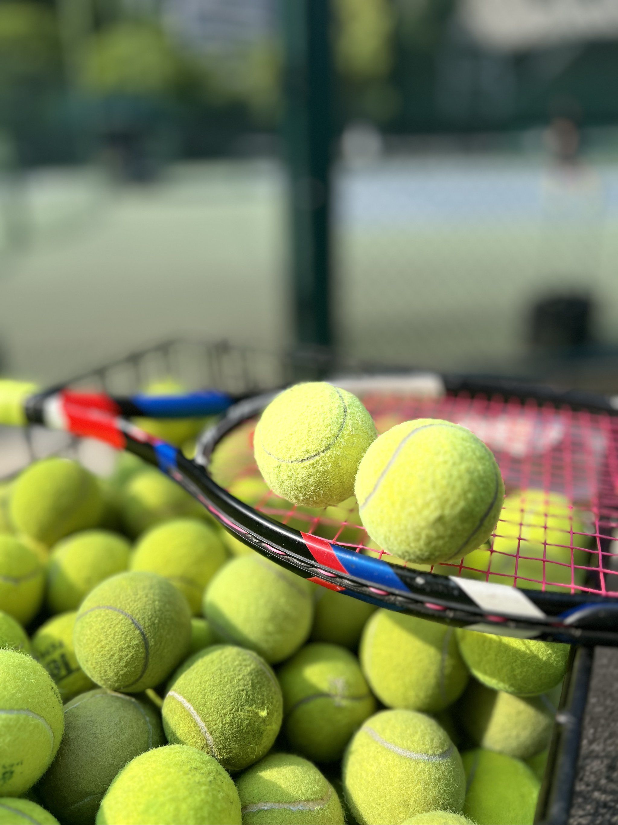 杰成长道路 杰成长道路